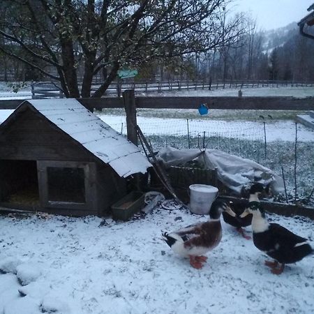Apartamento Gaestehaus Blonbauer Schladming Exterior foto