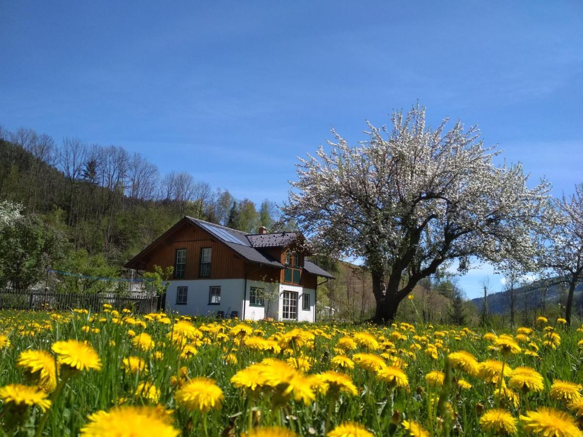 Apartamento Gaestehaus Blonbauer Schladming Exterior foto
